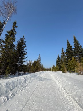 ДП Родной в Карпинске - karpinsk.yutvil.ru - фото 7