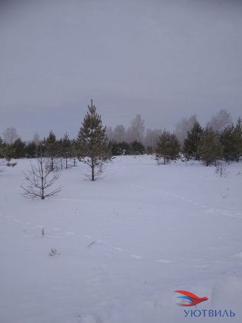 Земельный участок поселок Баженово в Карпинске - karpinsk.yutvil.ru - фото 5