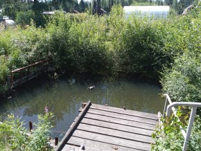 город Верхняя Пышма СНТ Сварщик в Карпинске - karpinsk.yutvil.ru - фото 19