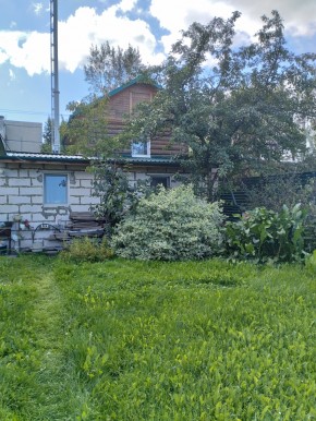 Коллективный сад номер 7, участок 58 в Карпинске - karpinsk.yutvil.ru - фото 21 Коллективный сад номер 7, участок 58 в Карпинске - karpinsk.yutvil.ru - фото 21