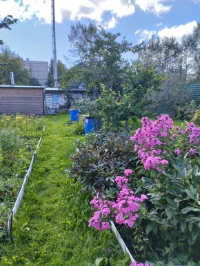 Коллективный сад номер 7, участок 58 в Карпинске - karpinsk.yutvil.ru - фото 23 Коллективный сад номер 7, участок 58 в Карпинске - karpinsk.yutvil.ru - фото 23