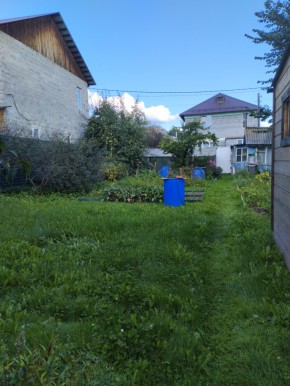 Коллективный сад номер 7, участок 58 в Карпинске - karpinsk.yutvil.ru - фото 26 Коллективный сад номер 7, участок 58 в Карпинске - karpinsk.yutvil.ru - фото 26