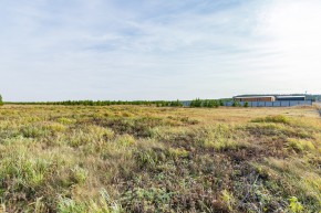 Российская Федерация, Свердловская область, Сысертский городской округ, территория садоводческого некоммерческого товарищества Бобровские дачи, улица Каштановая, земельный участок № 38 в Карпинске - karpinsk.yutvil.ru - фото 24