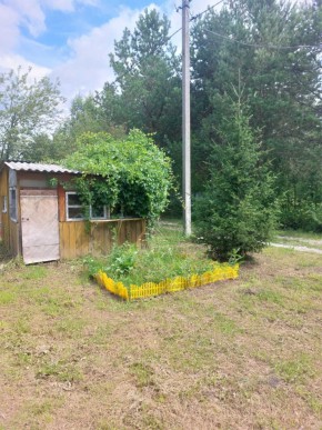 СНТ Родники в Карпинске - karpinsk.yutvil.ru - фото 1