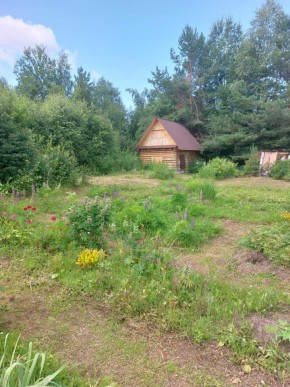 СНТ Родники в Карпинске - karpinsk.yutvil.ru - фото 2