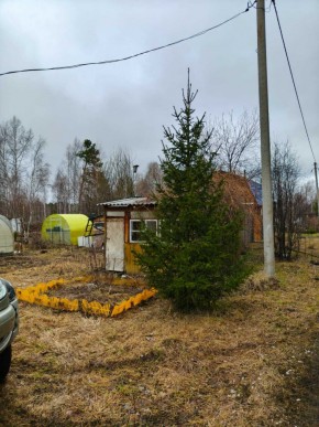 СНТ Родники в Карпинске - karpinsk.yutvil.ru - фото 5