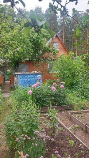 СНТ Садовод-24 в Карпинске - karpinsk.yutvil.ru