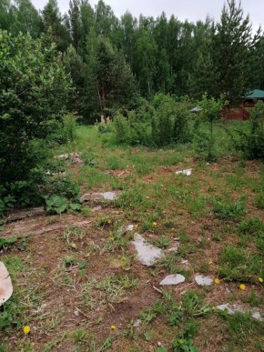 СТН Семья №112, Верхняя пышма на землях бывшего подсобного хозяйтва верхнепышминского опытного завода в Карпинске - karpinsk.yutvil.ru - фото 17