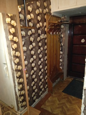 ул. Бажова,11 в Карпинске - karpinsk.yutvil.ru - фото 9