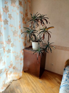 ул. Индустрии,29 в Карпинске - karpinsk.yutvil.ru - фото 4