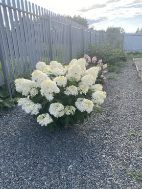 ул. Весенняя,12 в Карпинске - karpinsk.yutvil.ru - фото 20